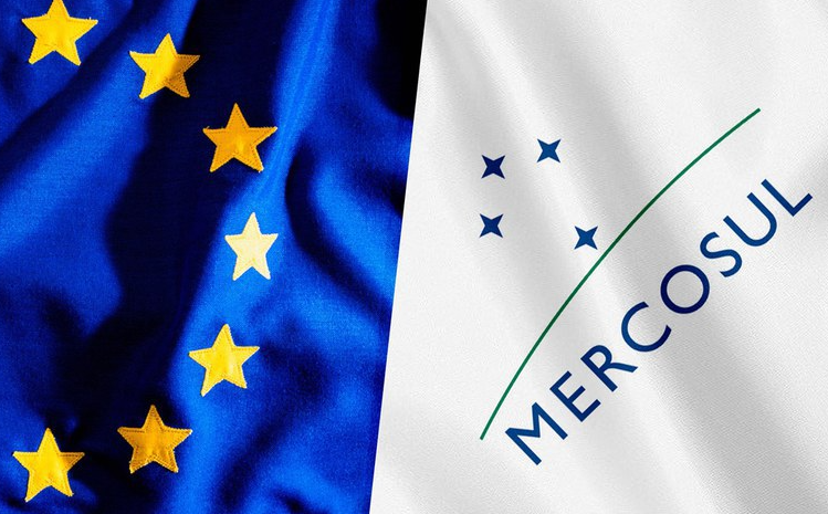 Intellectual property and International Trade: The role of trademarks and patents in the EU–Mercosur Agreement